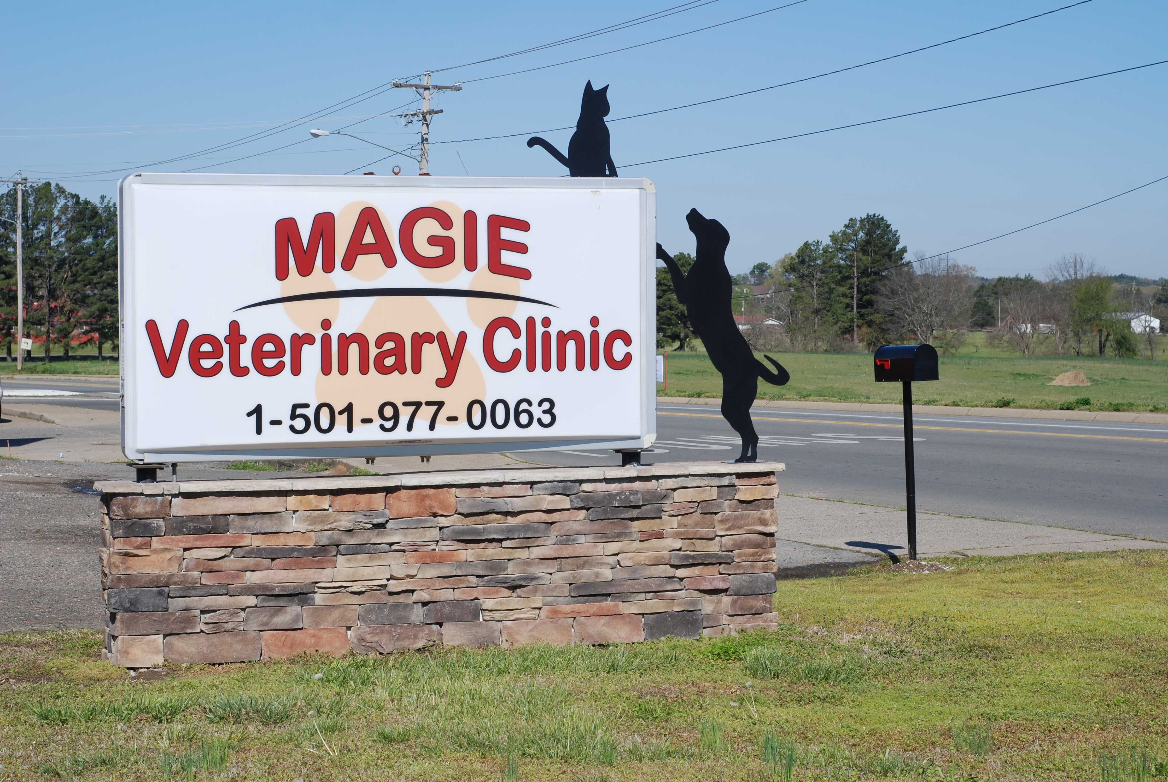 Chris Magie, Dr Magie, magie vet clinic, morrilton, arkansas, morrilton vet clinic, vet, morrilton veterinary clinic, arkansas veterinary clinic, low cost veterinary clinic, veterinary animal clinic